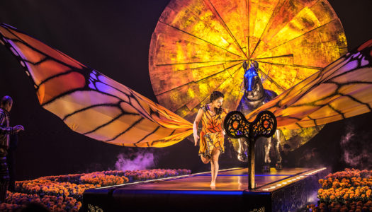 Aprende Francés en Quebec la cuna del “Cirque du Soleil”